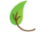 NatureTV