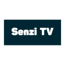 stv1