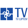 stv1
