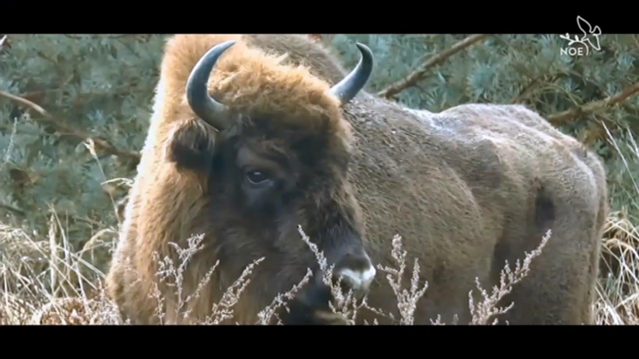Klapka s Ing. Jaroslavem Kolčavou