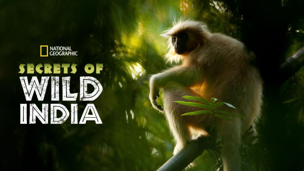 Secrets of Wild India