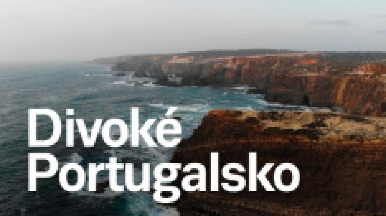 Divoké Portugalsko / 07.03.2025, 09:31