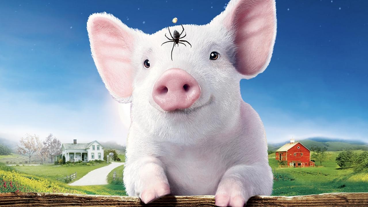 Charlotte's Web