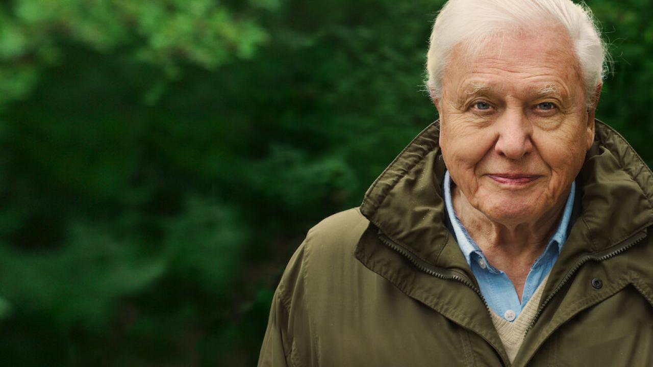 Attenborough's Journey