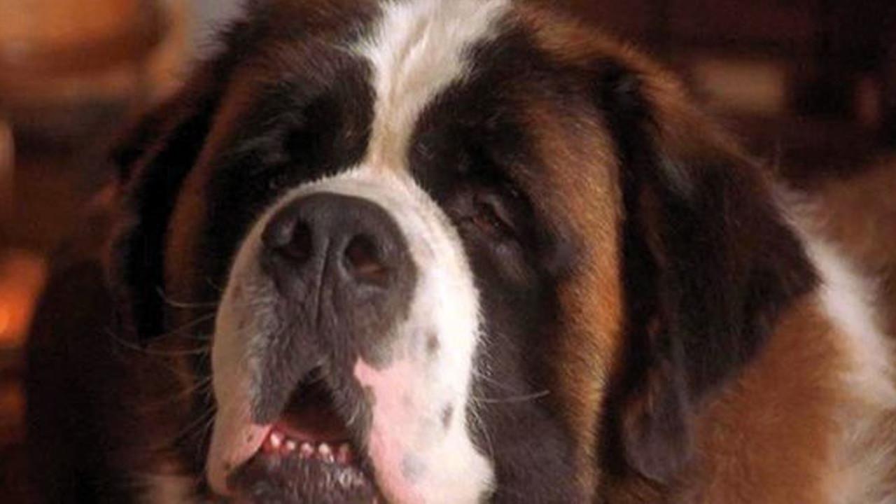 Beethoven 3