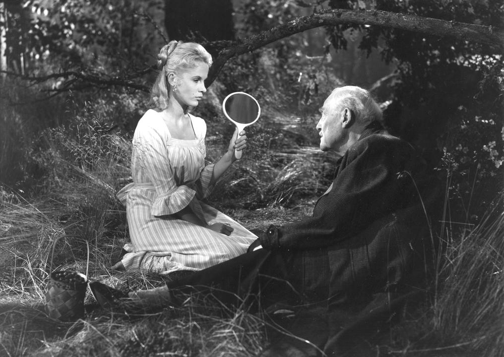 Wild Strawberries