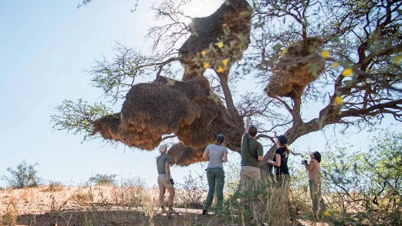 Africa’s Wild Roommates / 04.07.2025, 08:15