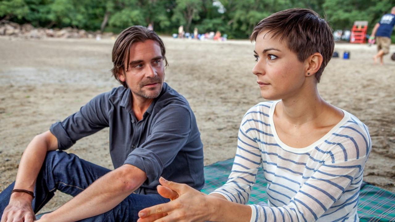 Katie Fforde: Hledá se táta