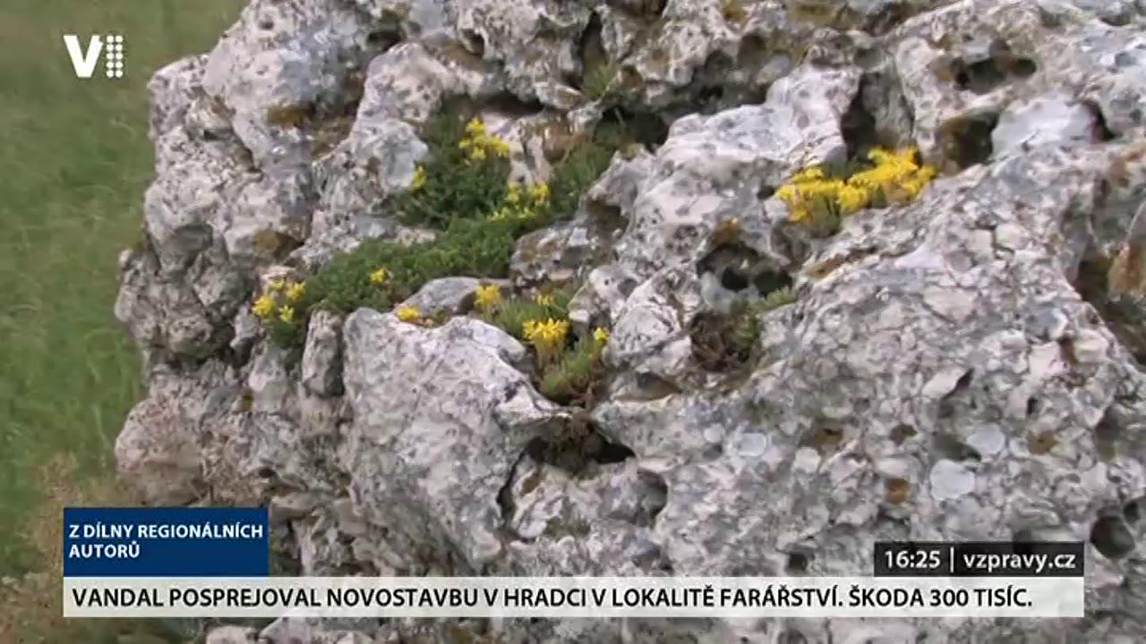 Z dílny regionálních autorů