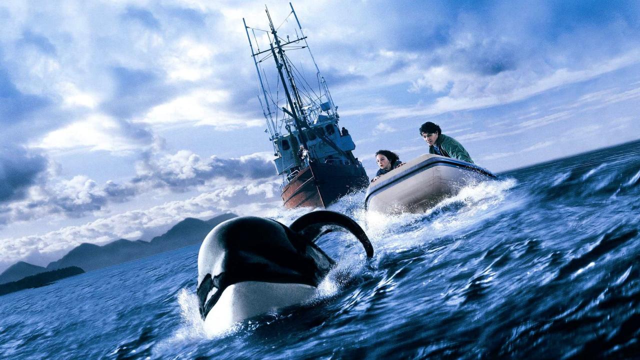 Free Willy 3 The Rescue