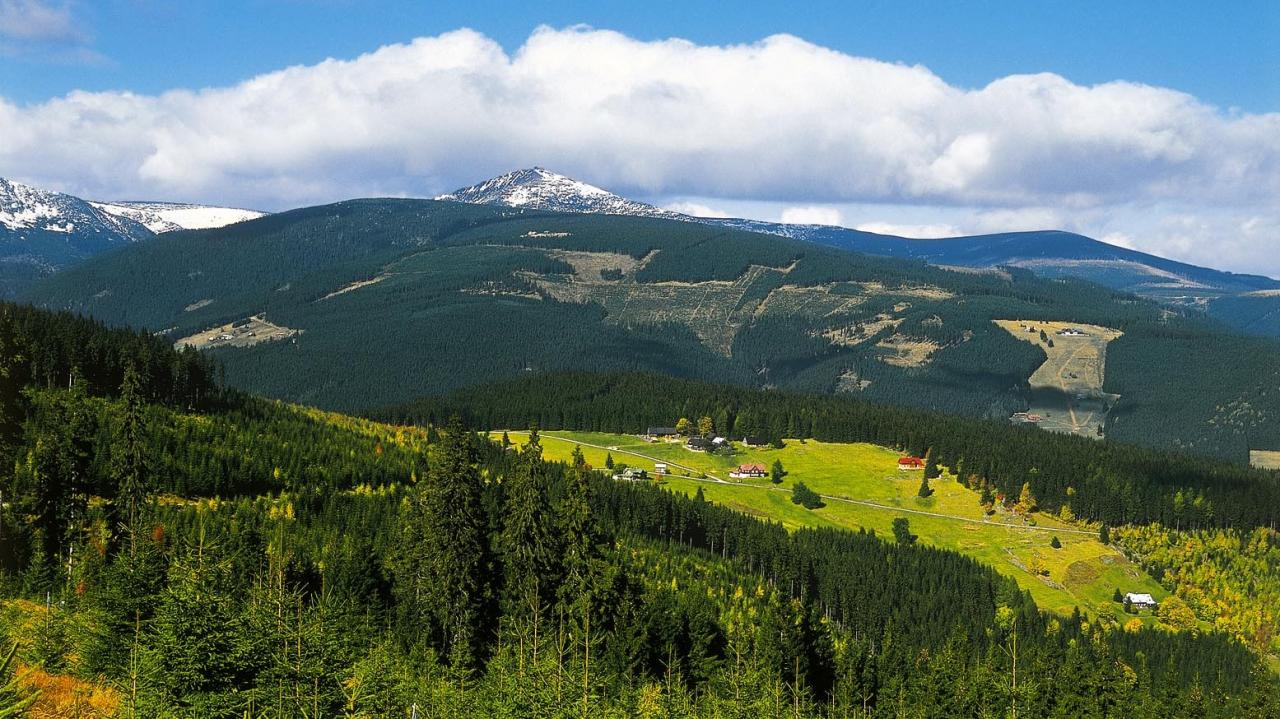 Karpatské bukové pralesy / 17.06.2025, 17:30
