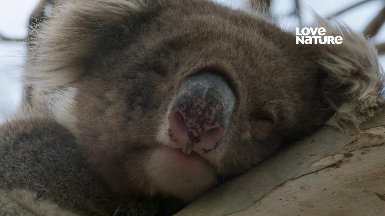 Naprieč Austráliou