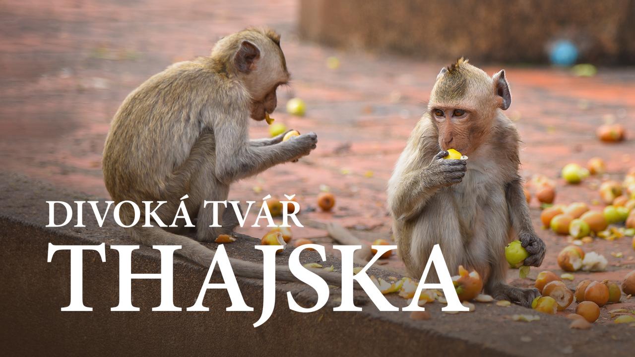 Divoká stránka Thajska