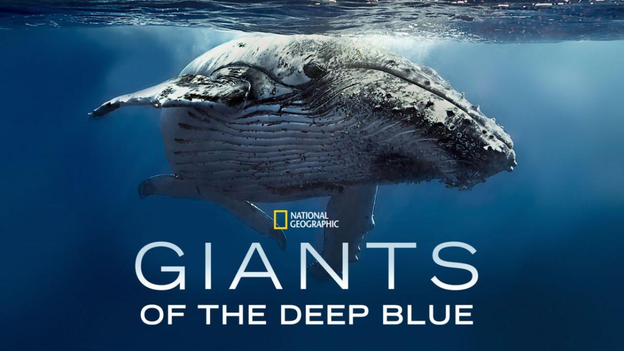 Giants of The Deep Blue