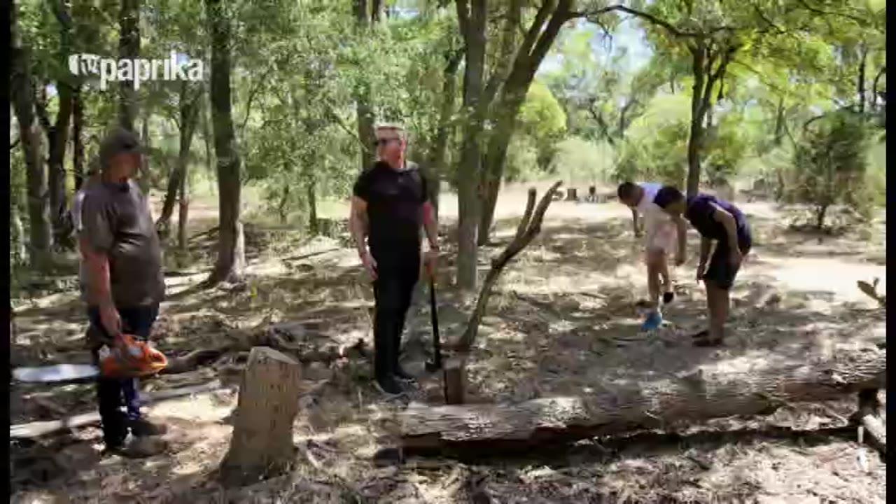 Gordon, Gino a Fred na cestách