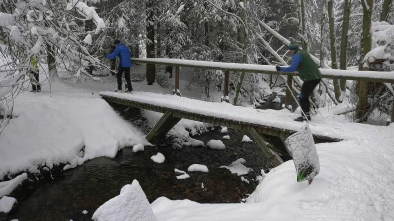 Bežkopotulky (Bežkopotulky: Krušné hory) / 15.02.2025, 08:45