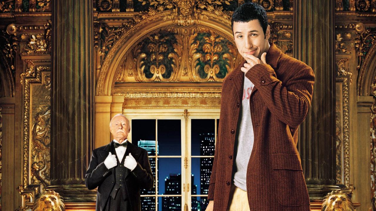 Mr. Deeds - Náhodný milionář