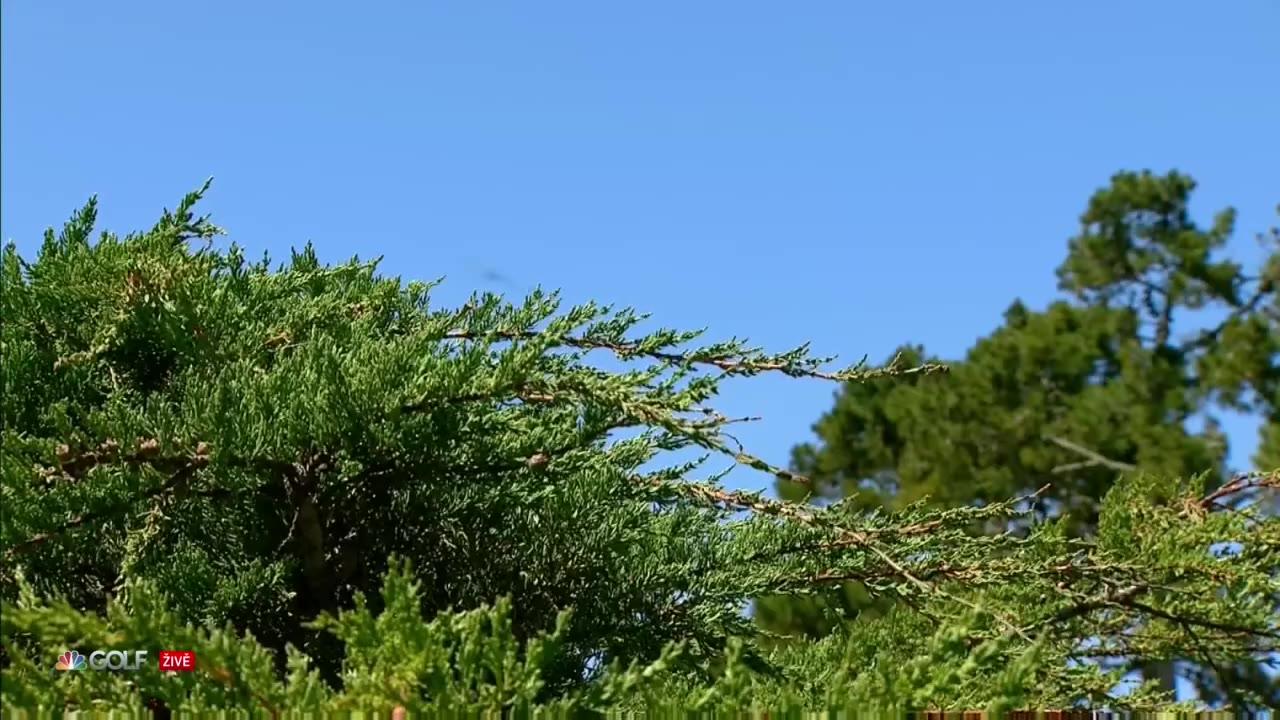 Meijer LPGA Classic For Simply Give