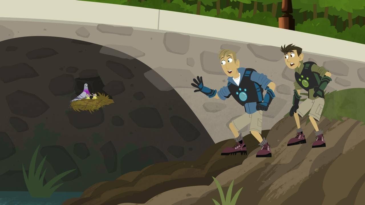 Wild Kratts