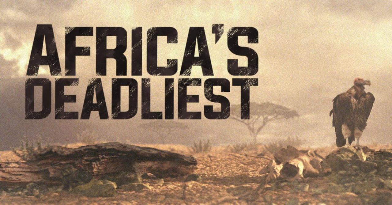 Africa's Deadliest / 21.03.2025, 07:30