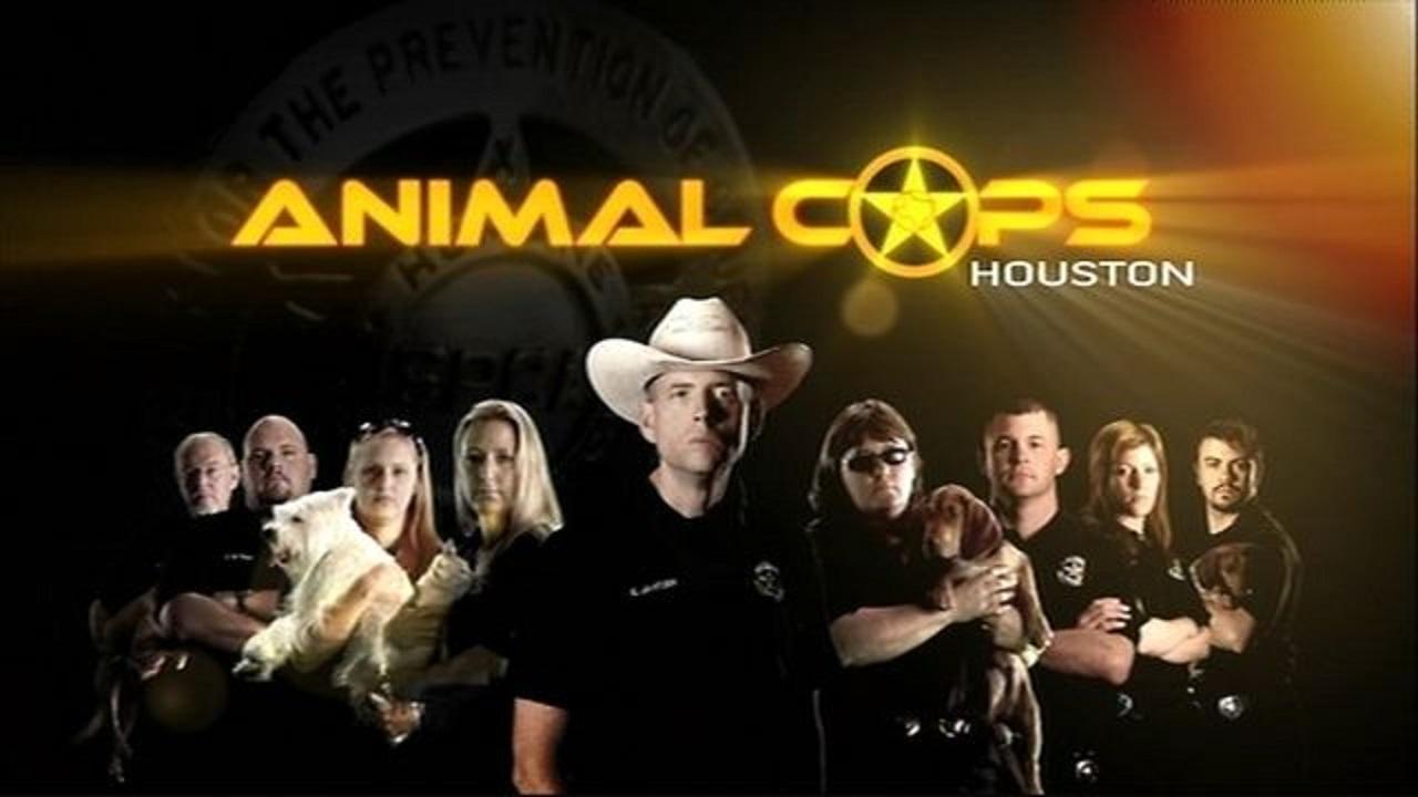 Animal Cops: Houston