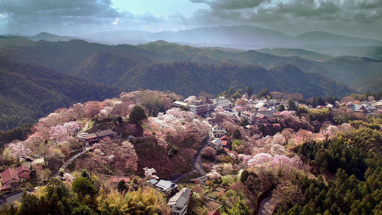 Japan from Above