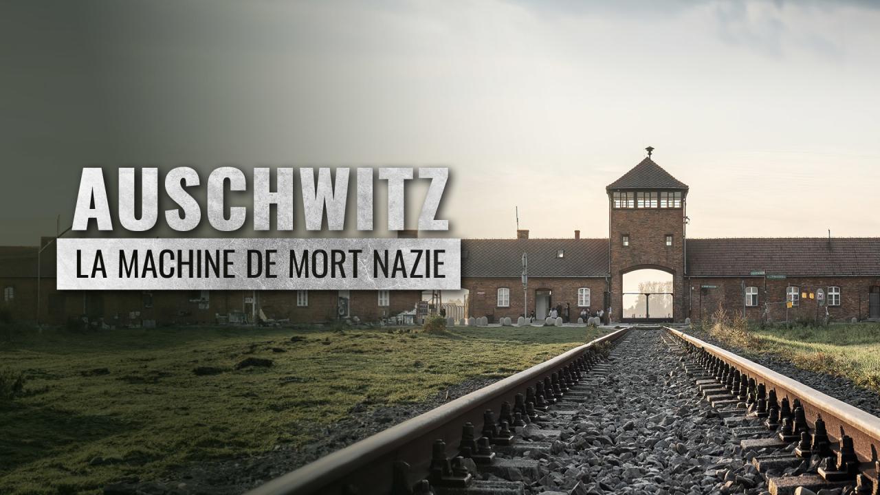 Auschwitz: The Hidden Traces