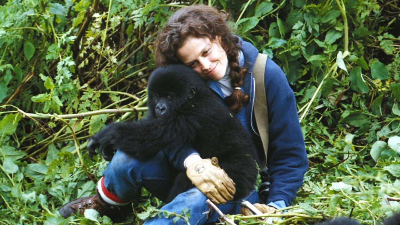 Gorillas in the Mist: The Story of Dian Fossey