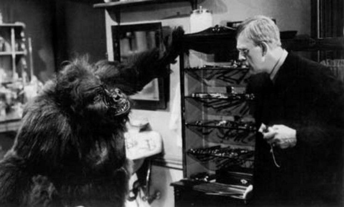 The Ape
