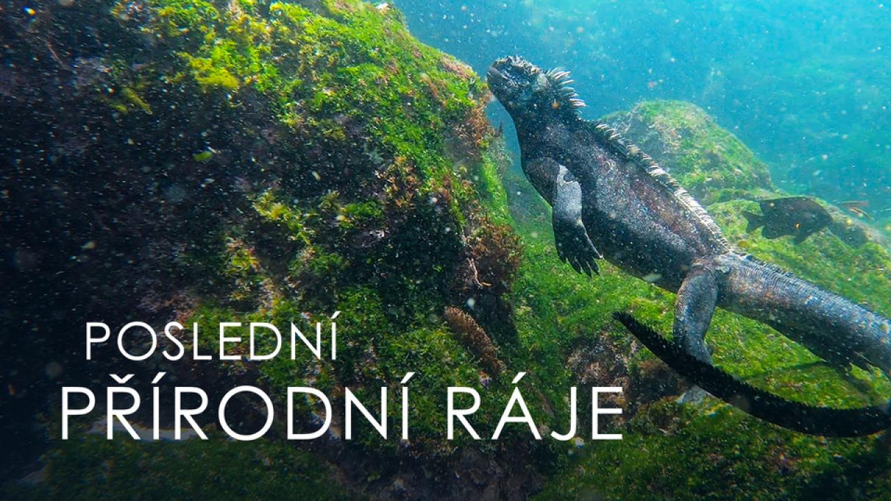 Posledné raje / 22.06.2025, 10:00
