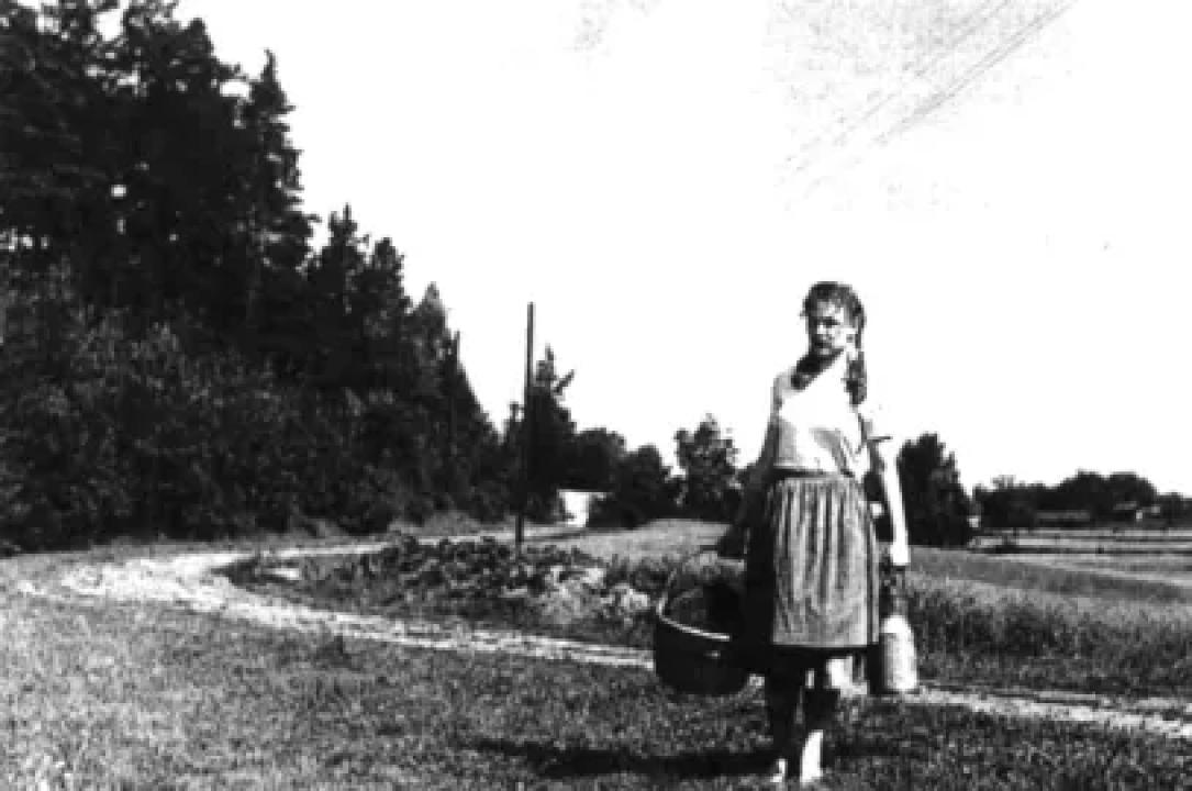 Léto