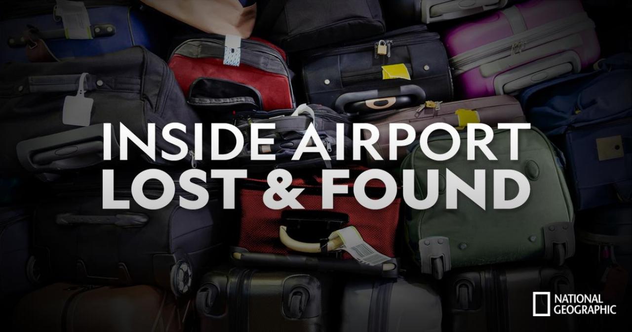 Inside Airport Lost & Found / 06.01.2025, 21:00