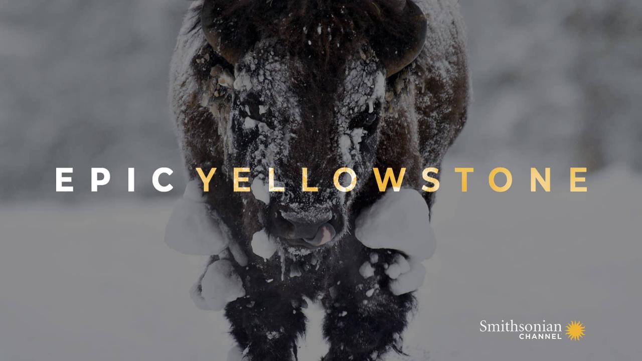 Epic Yellowstone