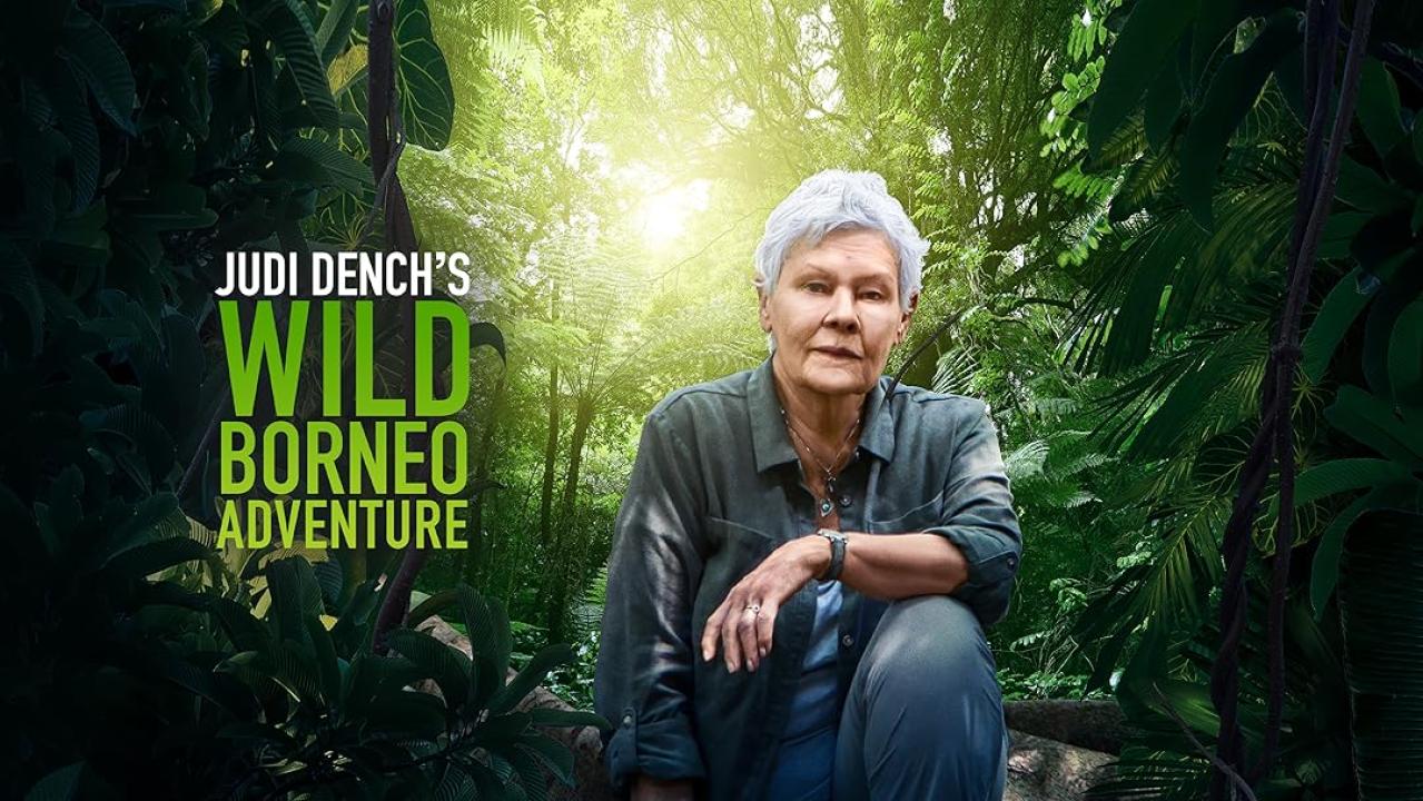 Judi Dench's Wild Borneo Adventure