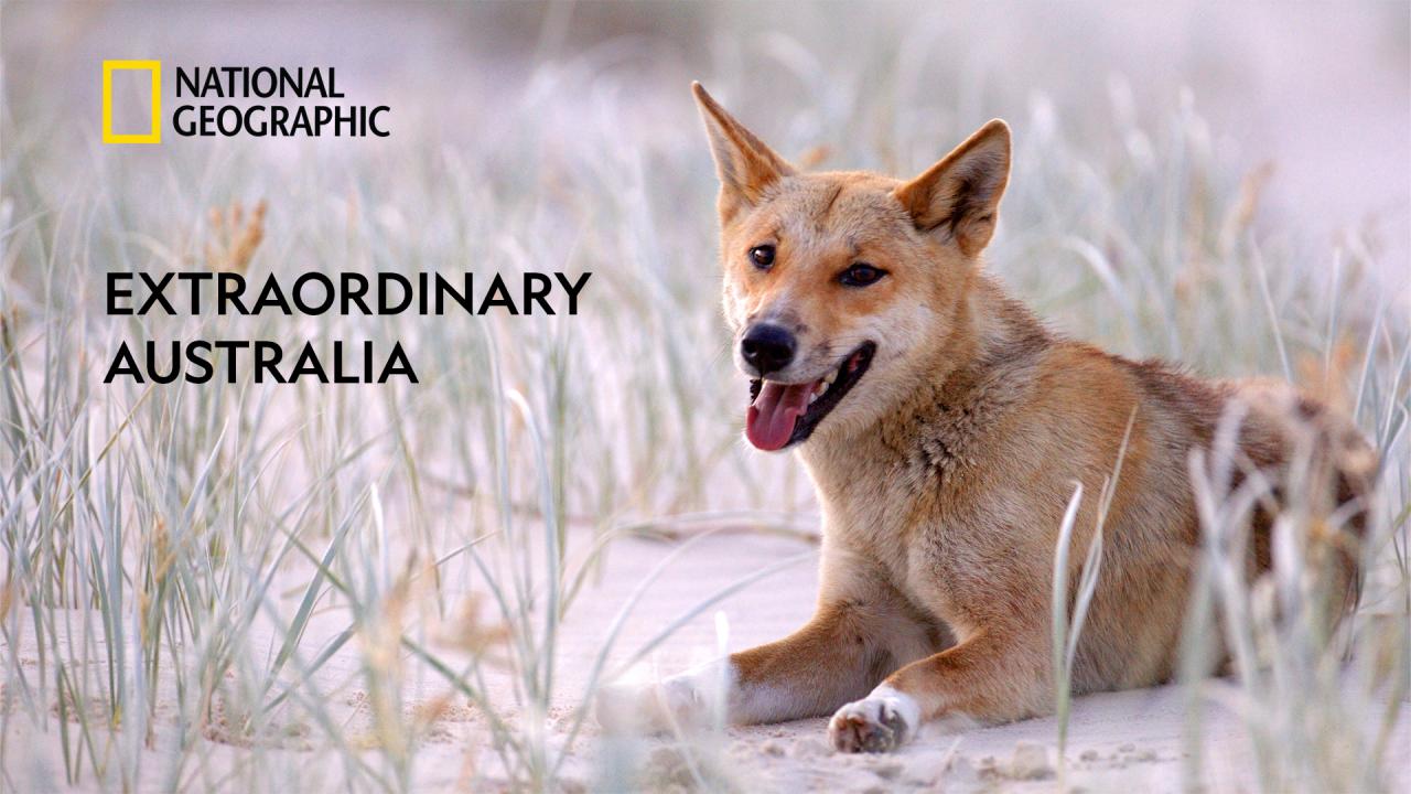 Extraordinary Australia / 26.05.2025, 08:15