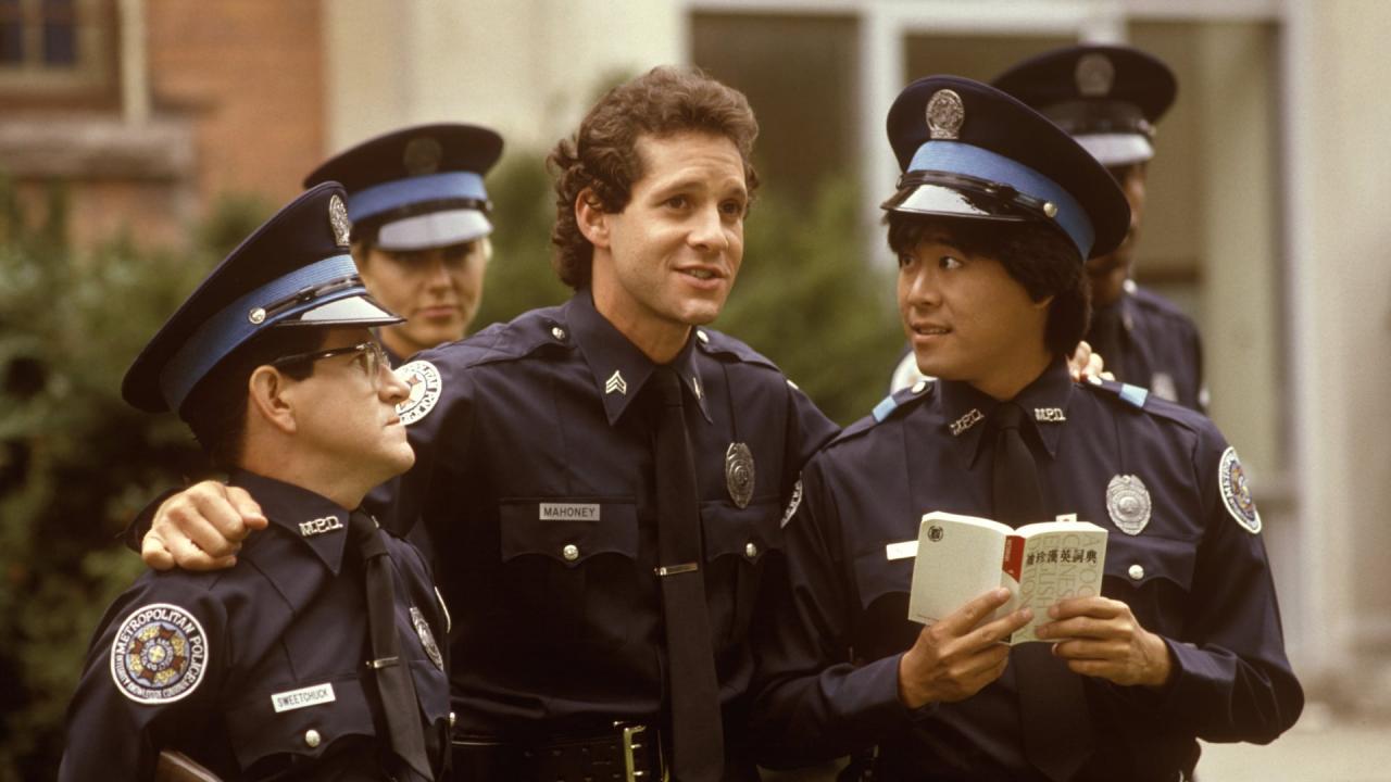 Policejní akademie 3