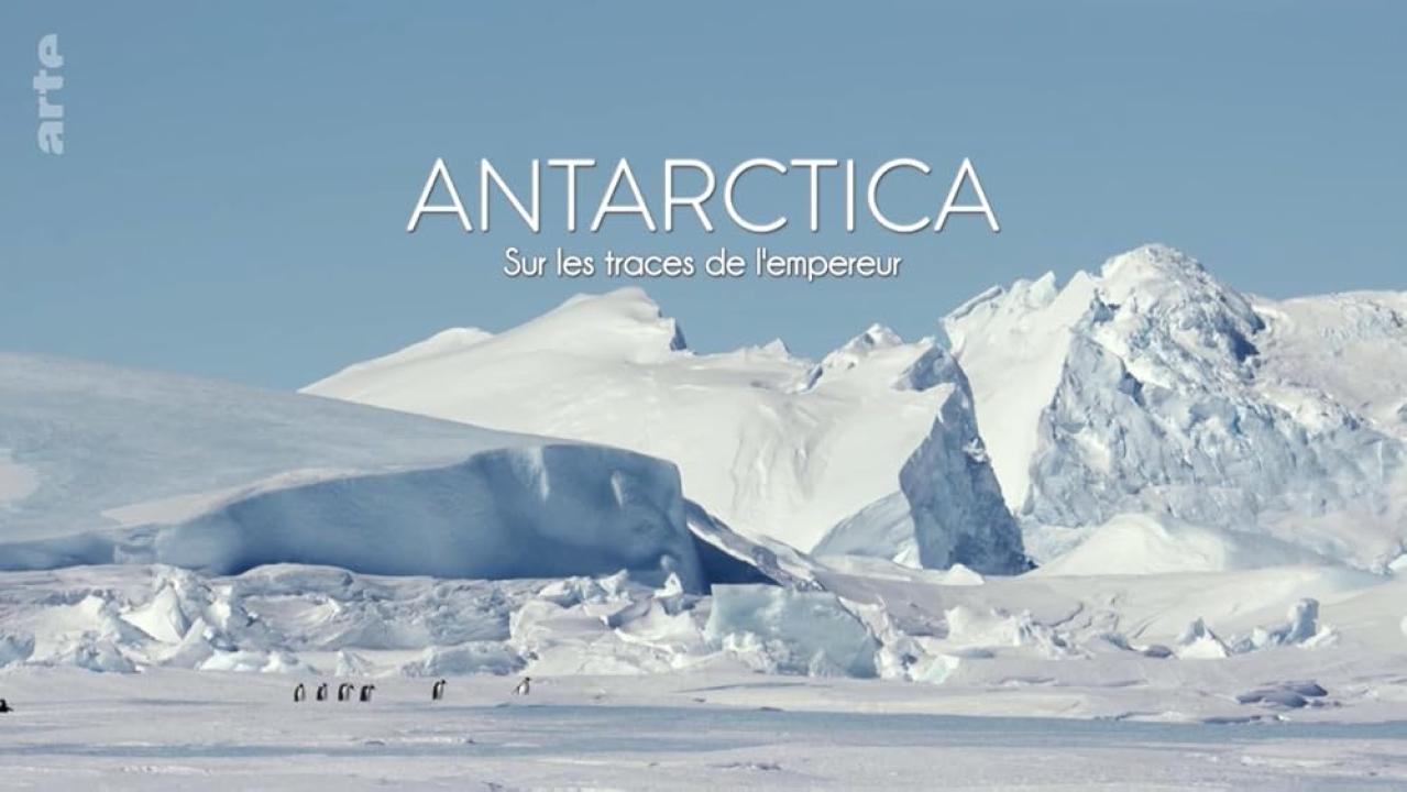 Antarctica, sur les traces de l'empereur