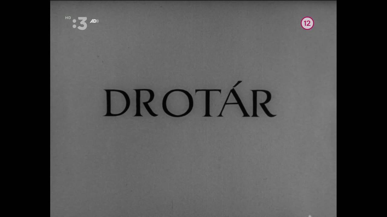 Drotár