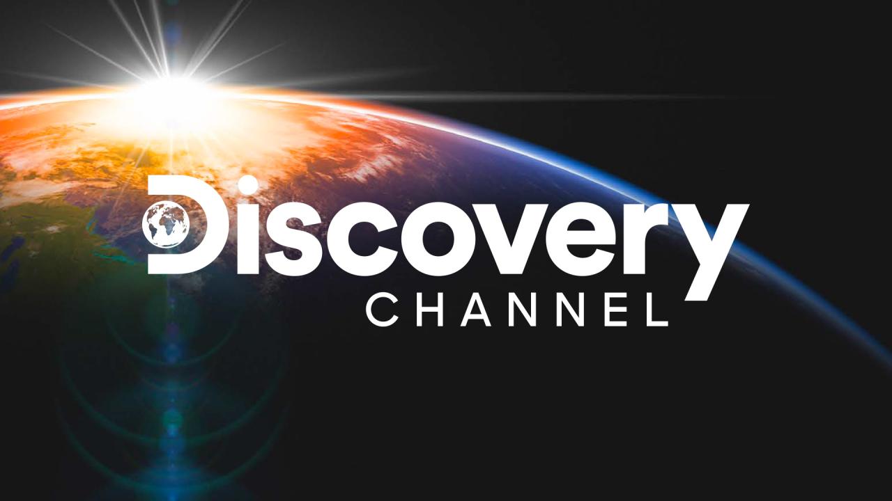 Discovery Changed My Life