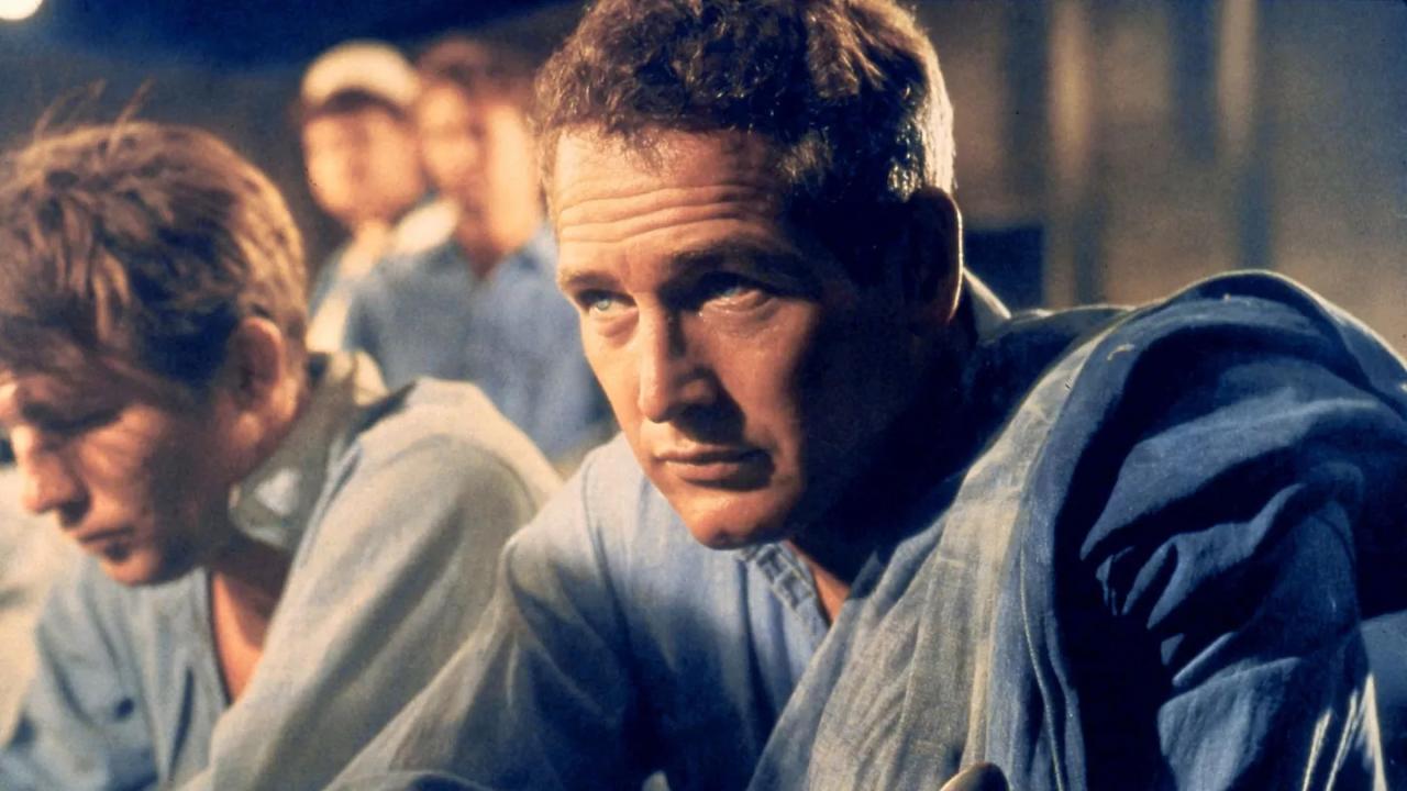 Paul Newman, the Restless