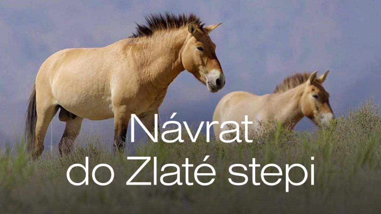 Návrat do Zlaté stepi