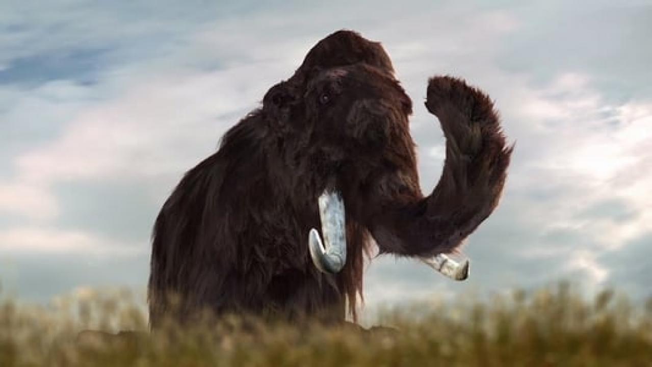 Mammoths - Giants of the Ice Age