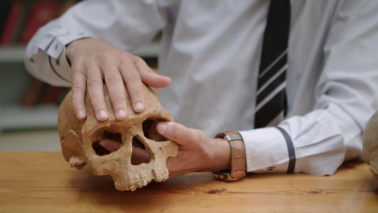 Homo sapiens, les nouvelles origines