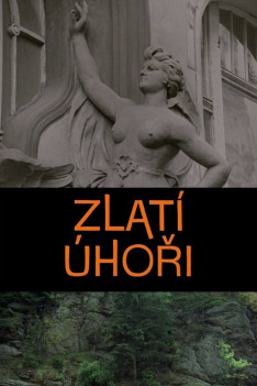 Zlatí úhoři