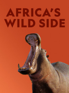 Africa's Wild Side