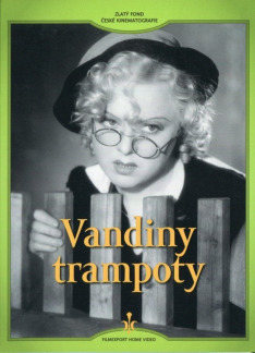 Vandiny trampoty