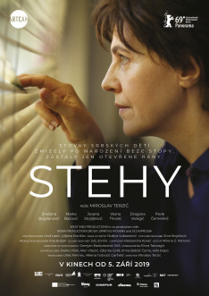 Stehy