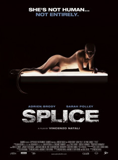 Splice