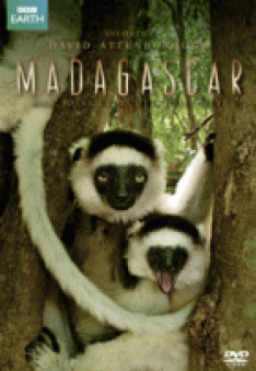 Madagascar