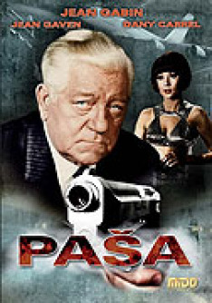 Pasha